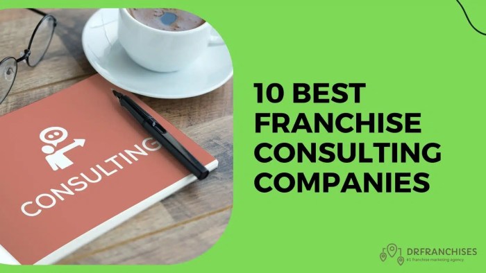 Top Franchise Consultants 2024