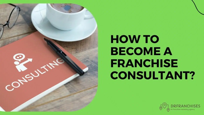 Franchise consulting