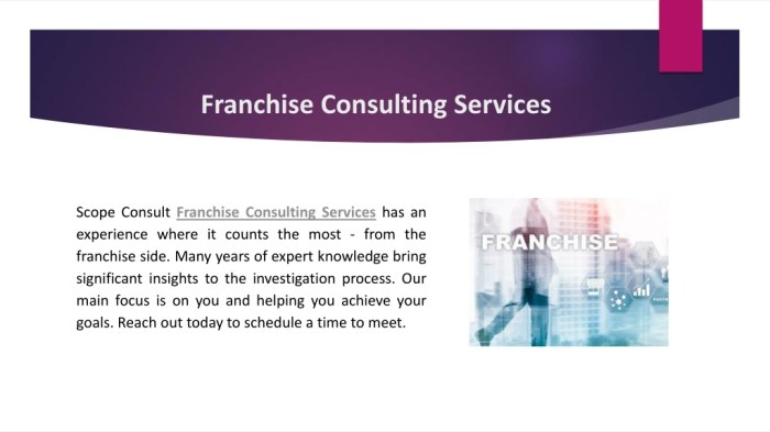 Franchise consultant